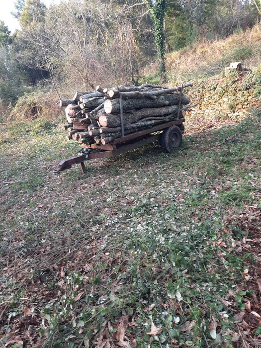 Servir bem   e  bem  servir  da saúde e faz sorrir