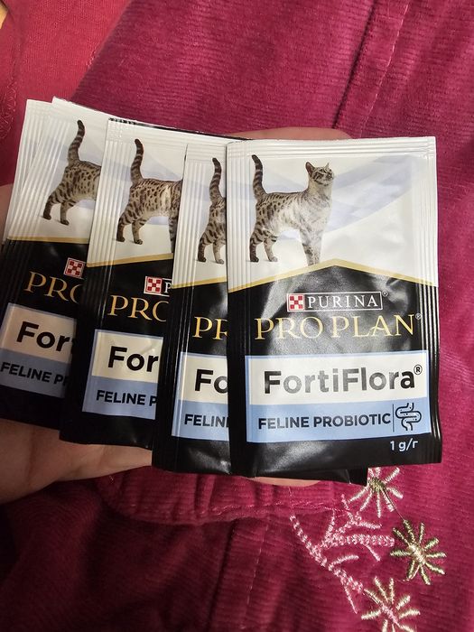 Purina Pro Plan FortiFlora — пробиотик для котов.