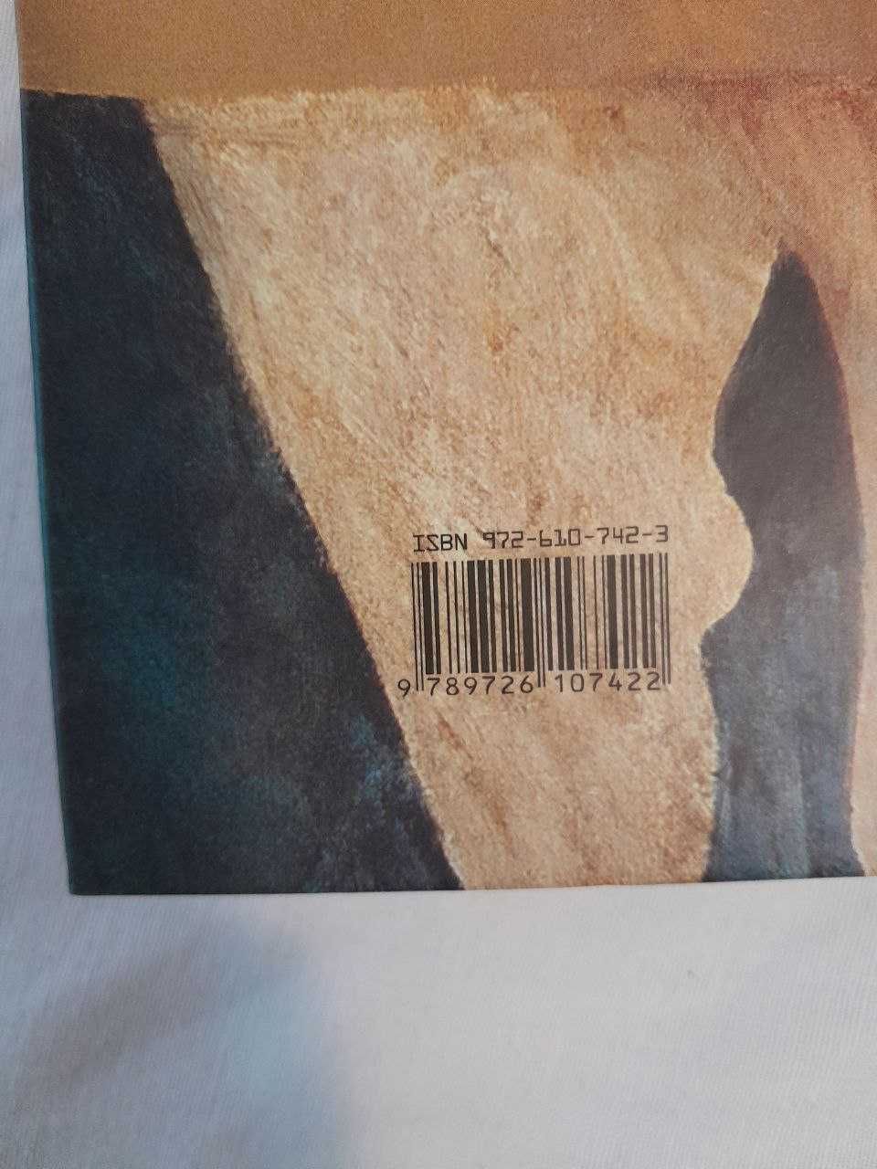 Livro de Pintura Rogério Ribeiro de José Luís Porfírio