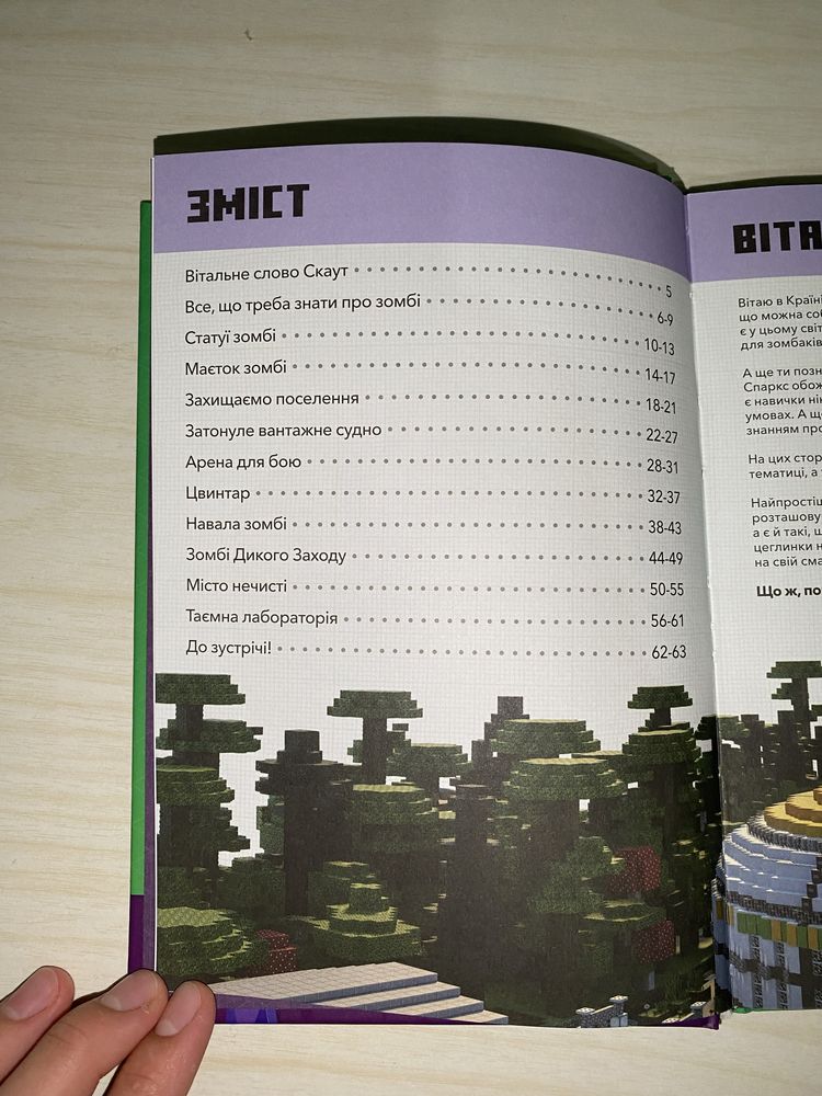 Minecraft. Майнарафт книга