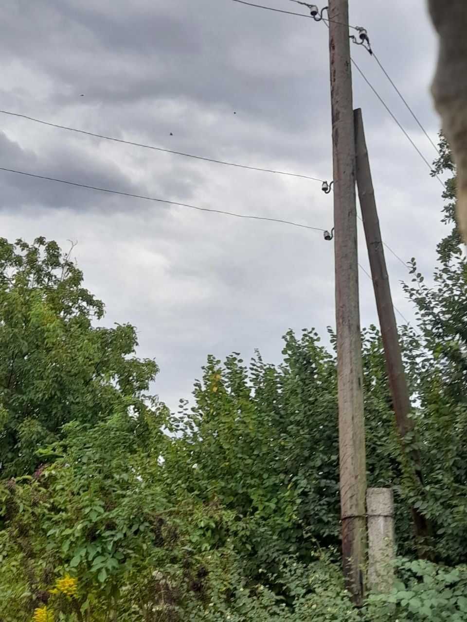 Продається затишний маєток у серці природи
