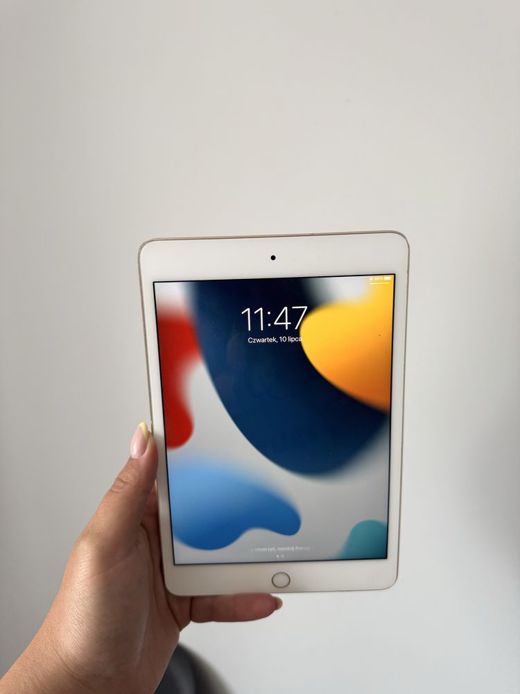 IPad mini stan bdb