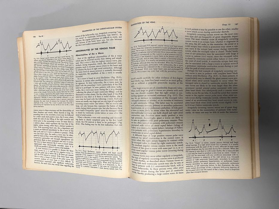 The Heart - 2nd edition - International Student Edition - bom estado