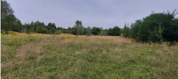 Działka nr 2387/3 i nr 2388/3 wraz z udziałami w działce nr 2392/3