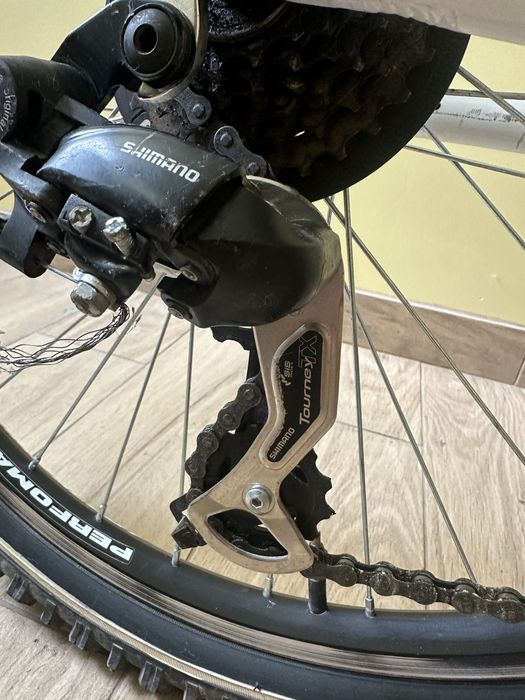 Rower Scout Junior Dolphine kola 24’ STAN B.DOBRY