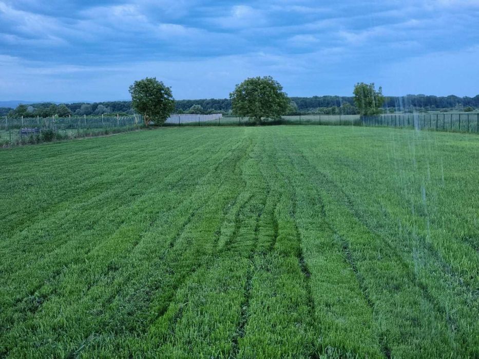 Продається ранчо в пригороді Ужгорода на дві сімʼї