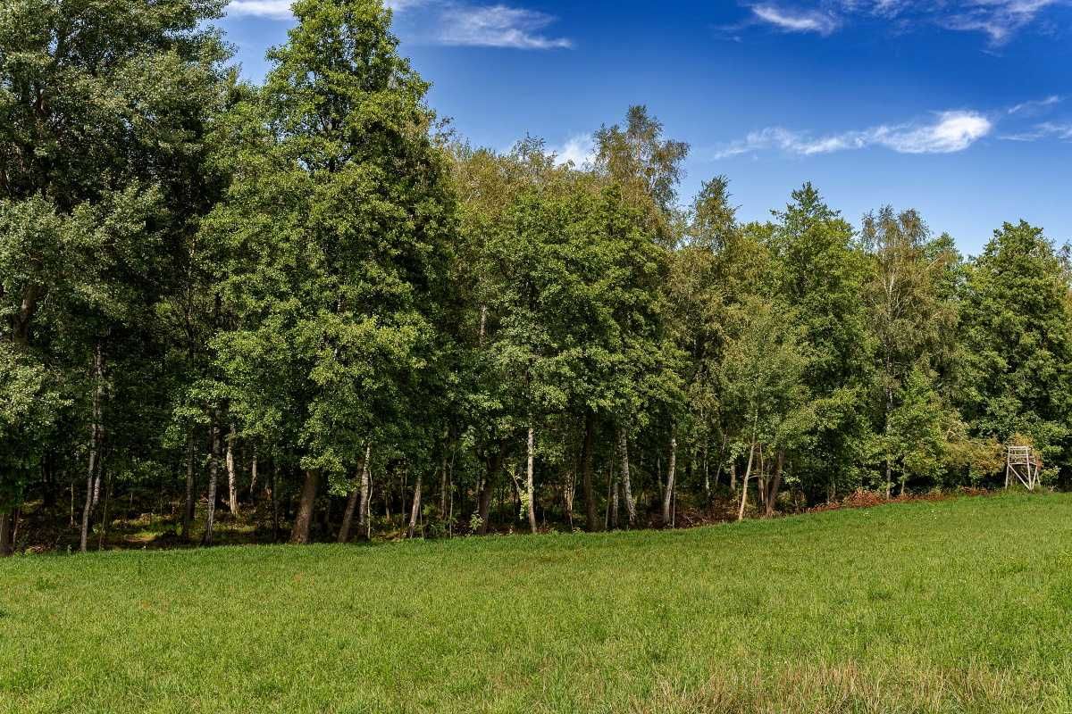 Działka z wydanymi WZ, 1000 m2, las, cisza, spokój, blisko jeziora