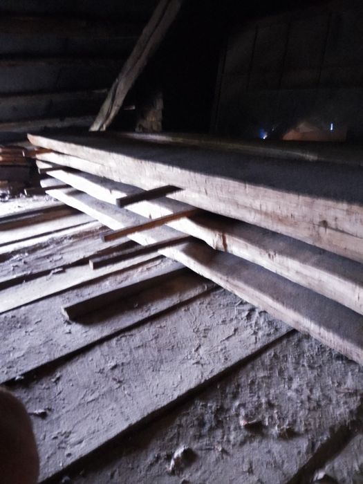 Дуб сухий 2,50/65/20