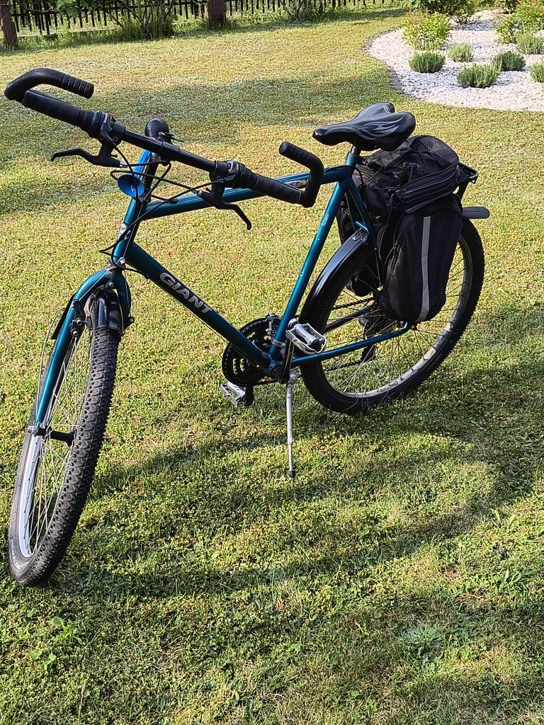 Rower Giant gsr-100