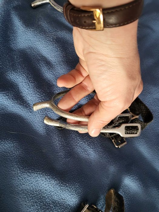 Ostrogi rożne tanio