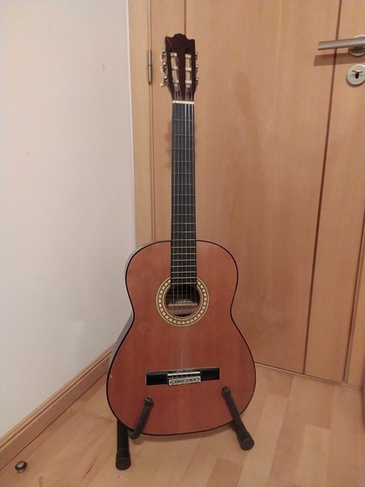 Viola + suporte incluido