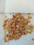 Carolina Reaper NASIONA