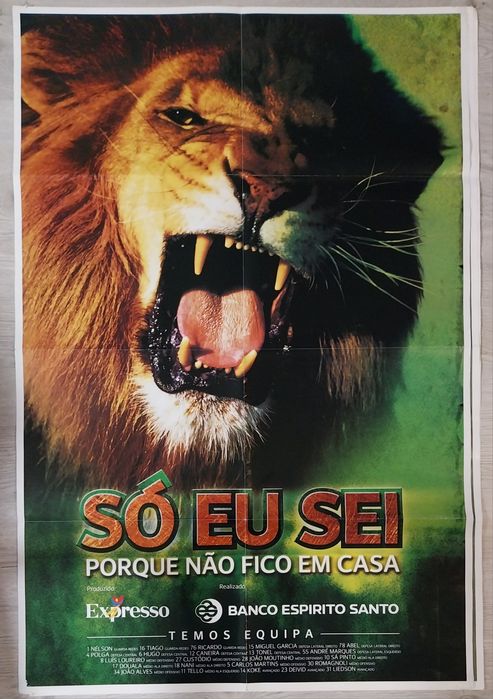 Posters selecção nacional Figo Ronaldo outros