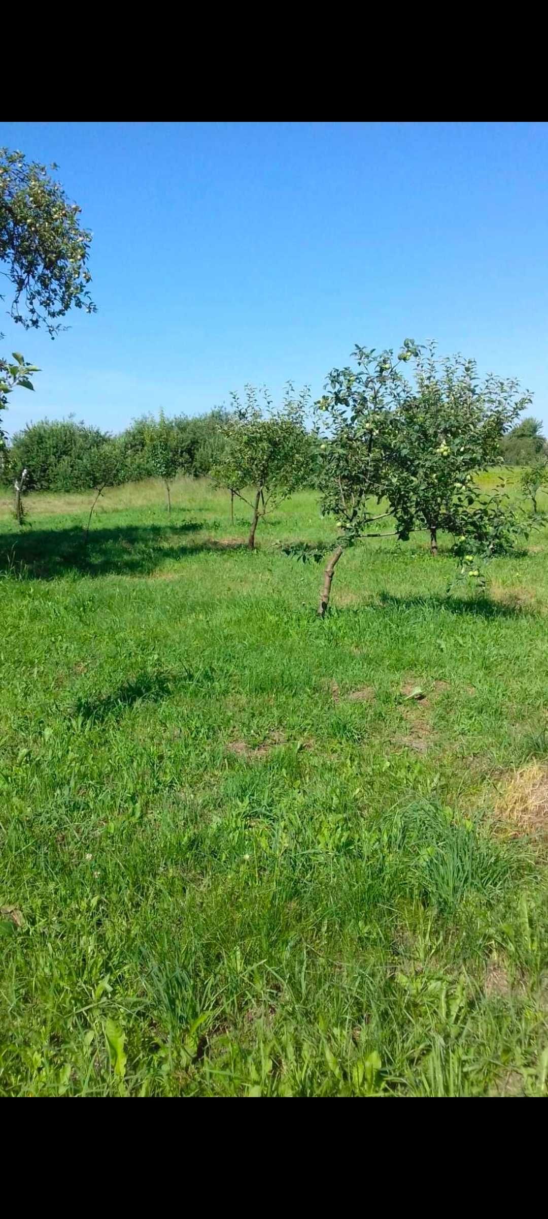 Будинок три кімнати