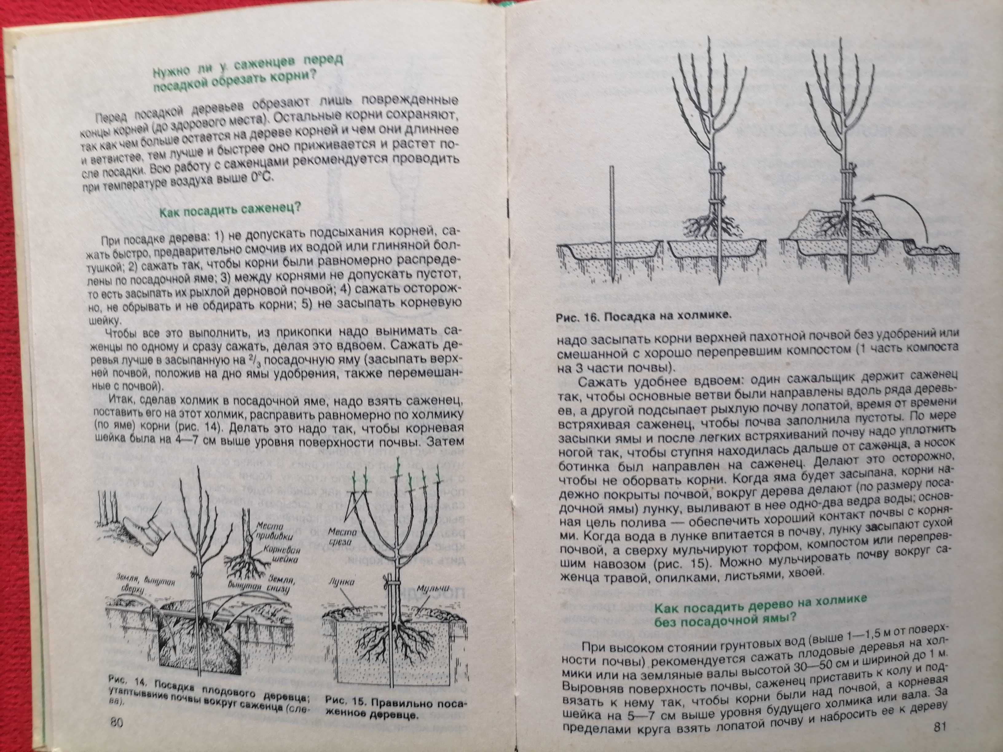 Книга Азбука садовода