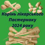 Корінь Пастернака ЛІКАРСЬКОГО, білий корінь, поповник, полевой борщ