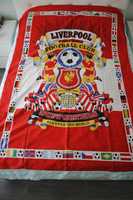 Capa edredon criança Liverpool Football 1982 usada tamanho:197x133