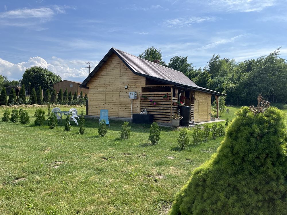 Domek do wynajęcia na dużej działce do użytku na wyłączność (z psami)