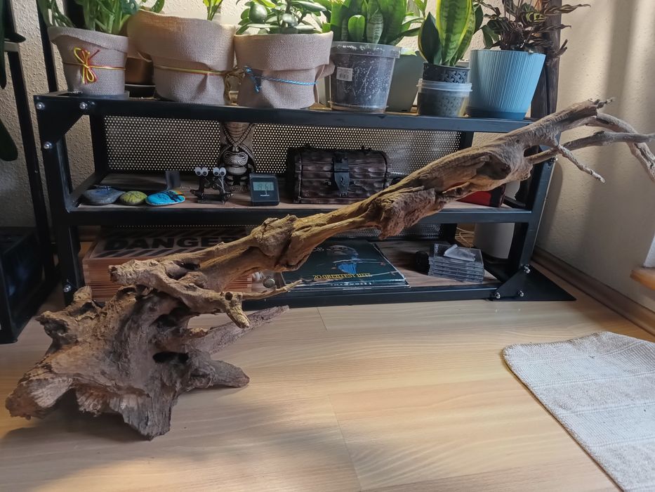Duży korzeń do akwarium lub terrarium