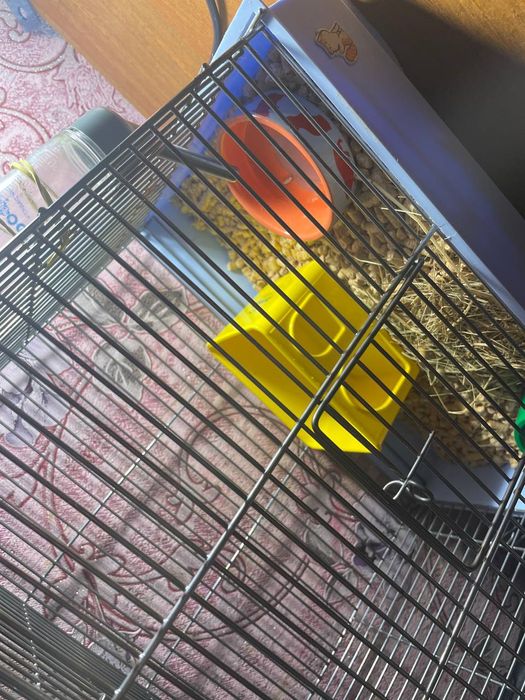 Продаю клетку для хомяка