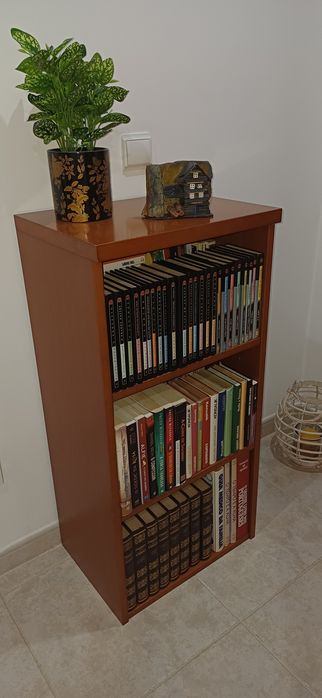 Móvel de sala e mesa de centro