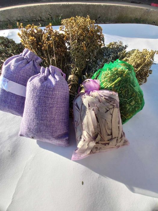 Банні віники дуб ,берёза, липа, хвоя эвкаліпт Трави3/5/65