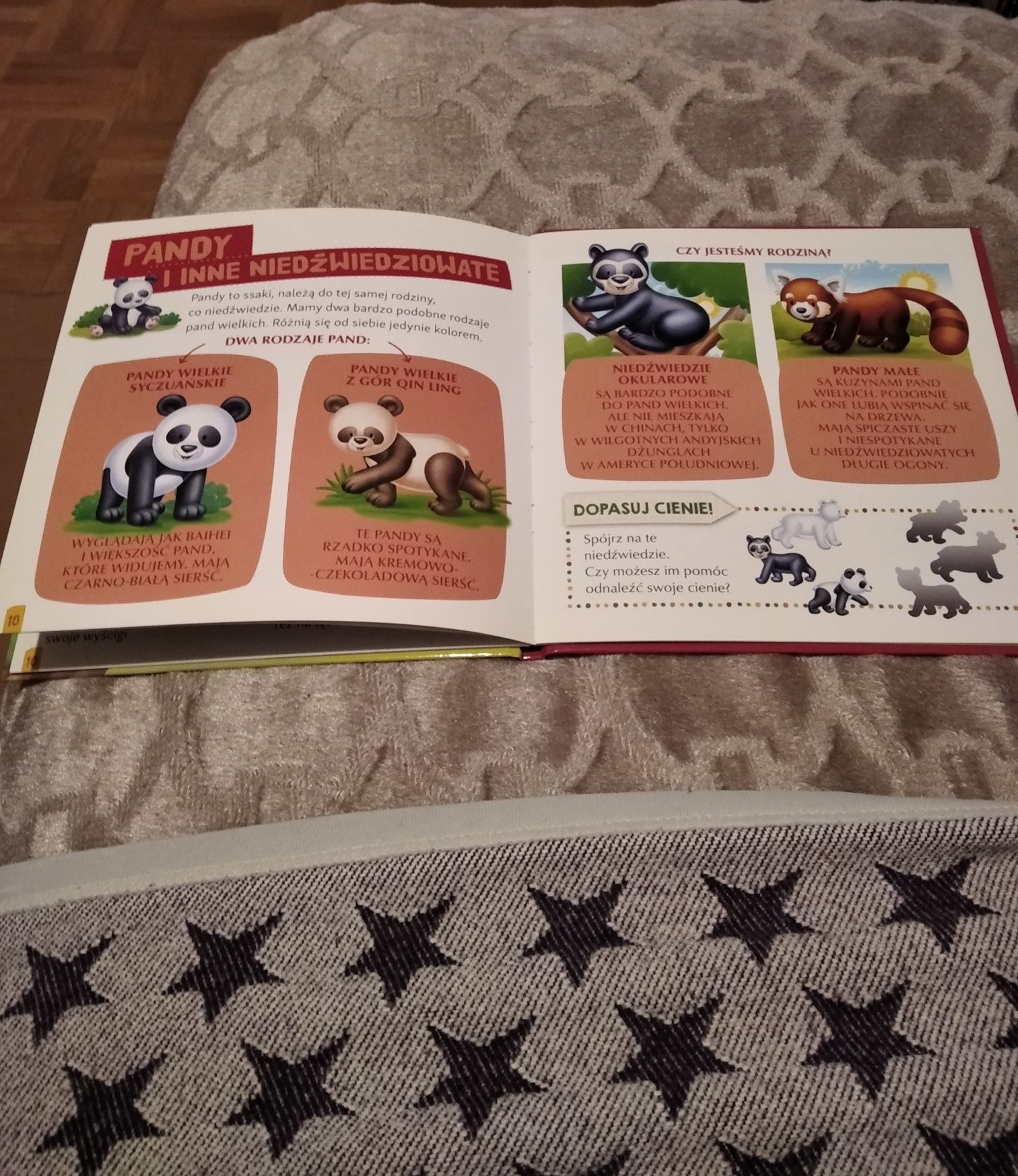 "Panda wielka Baihei" - książeczka z serii "Zwierzęta z mojego zoo"