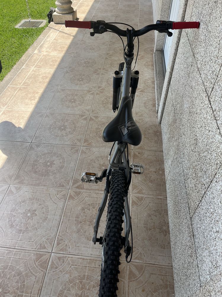 Bicicleta btt ( DS )