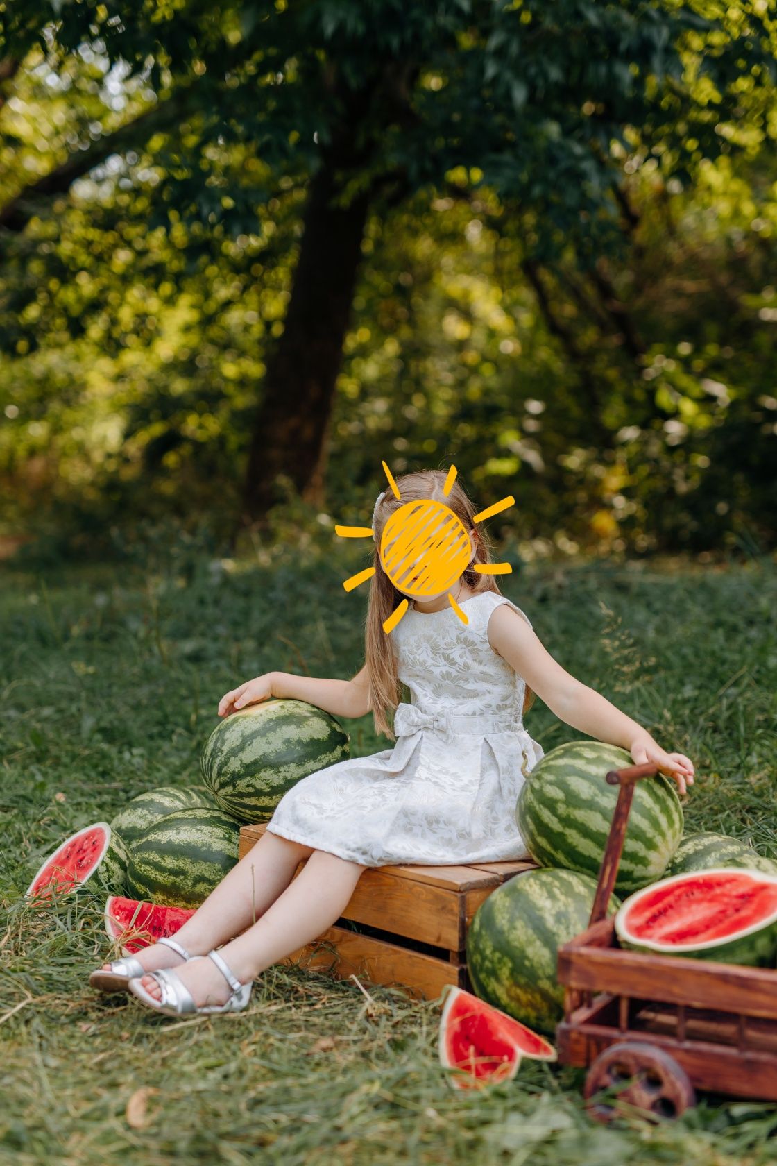 Плаття Carter's 4t для дівчинки