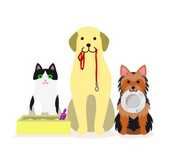 Pet sitting - deslocação