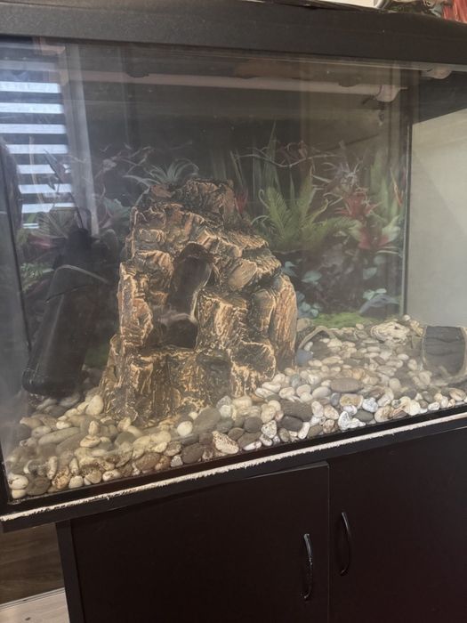 аквариум с тумбой
