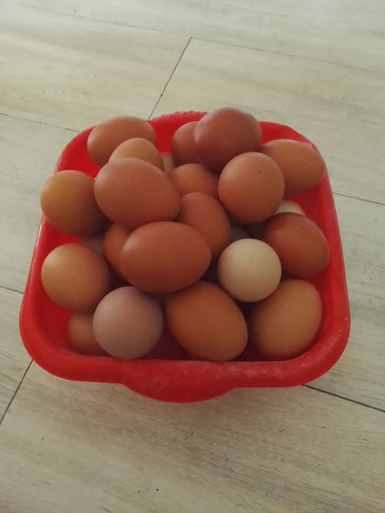 Ovos caseiros bom tamanho