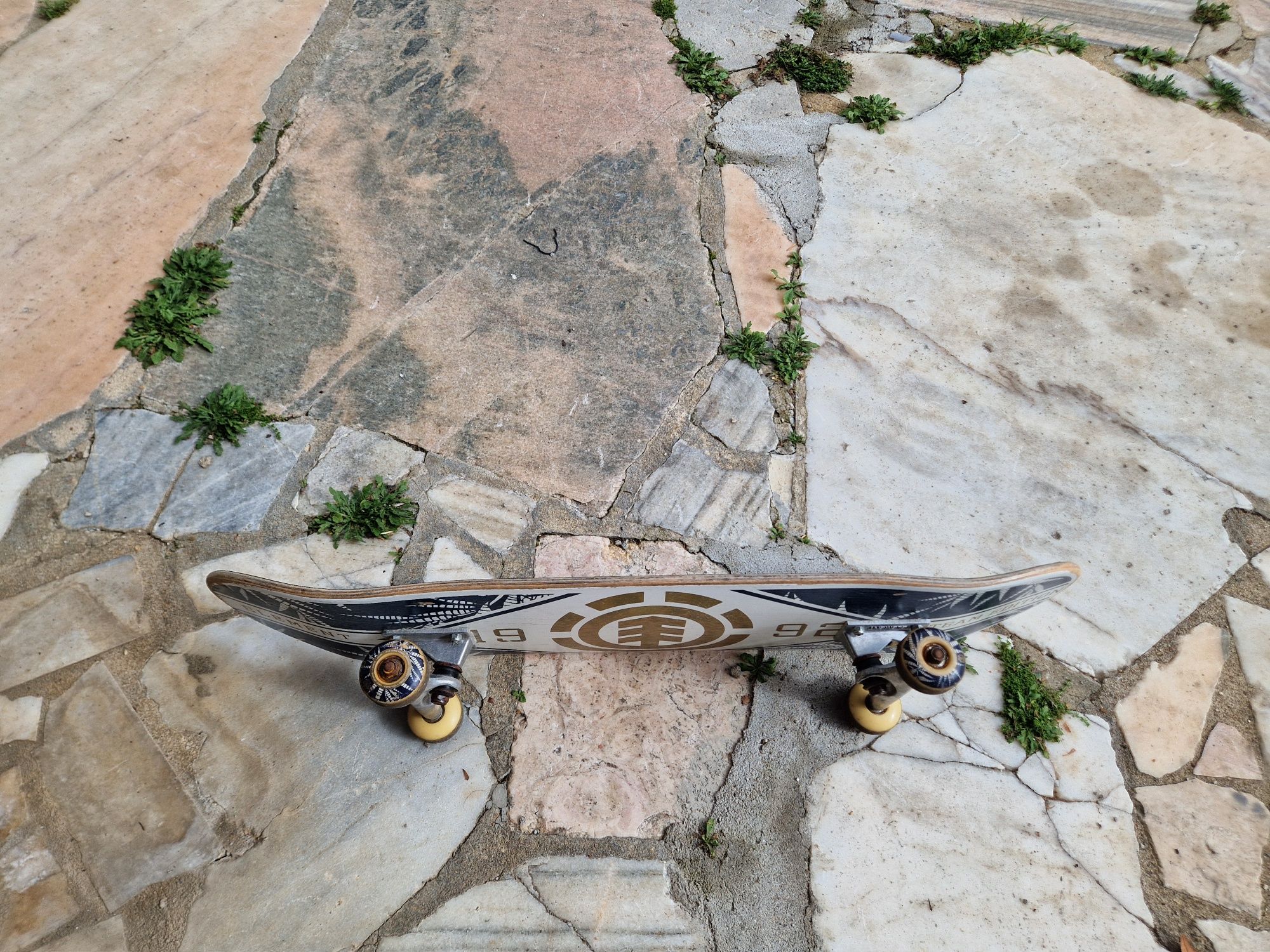 Skateboard Element Major League Nam Palm 8
Spring 2016 Collection
Kole