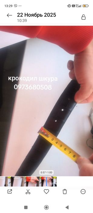 Крокодил шкура,пояс бу