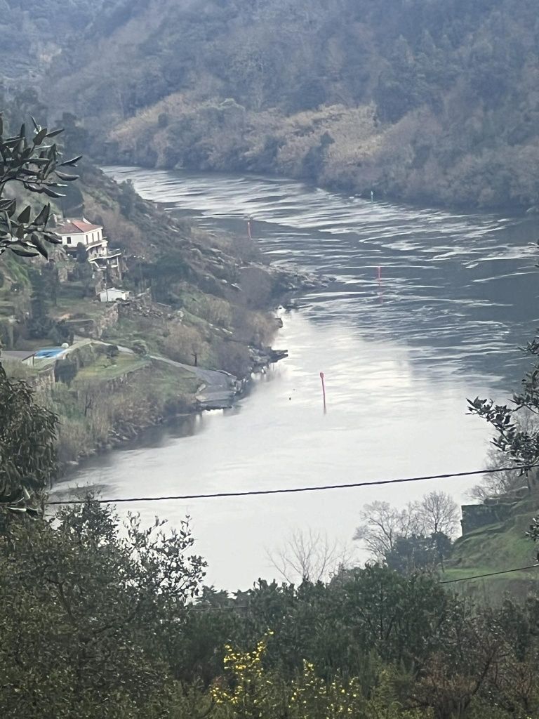 Terreno espetacular junto a praia fluvial em Cinfães