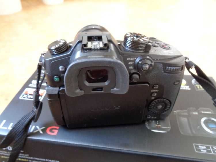 Panasonic Lumix DC-GH5L + LEICA 12-60mm F2.8-4 POWER O.I.S. + lampa