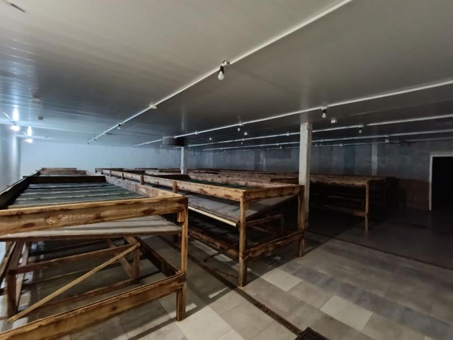 Агрокомплекс: птахофабрика + ферма з вирощування равликів, 19 га