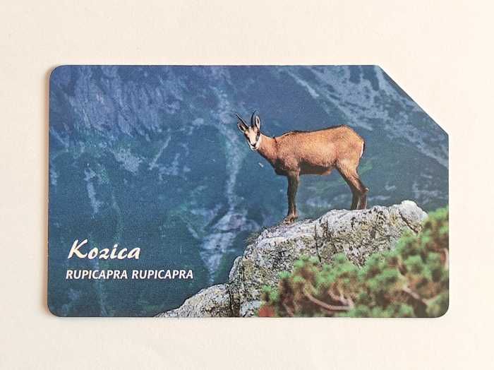 KOZICA Zwierzęta Chronione 1333 Karta Telefoniczna Magnetyczna TP