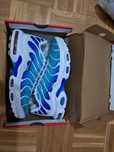 Nike Air Max Plus