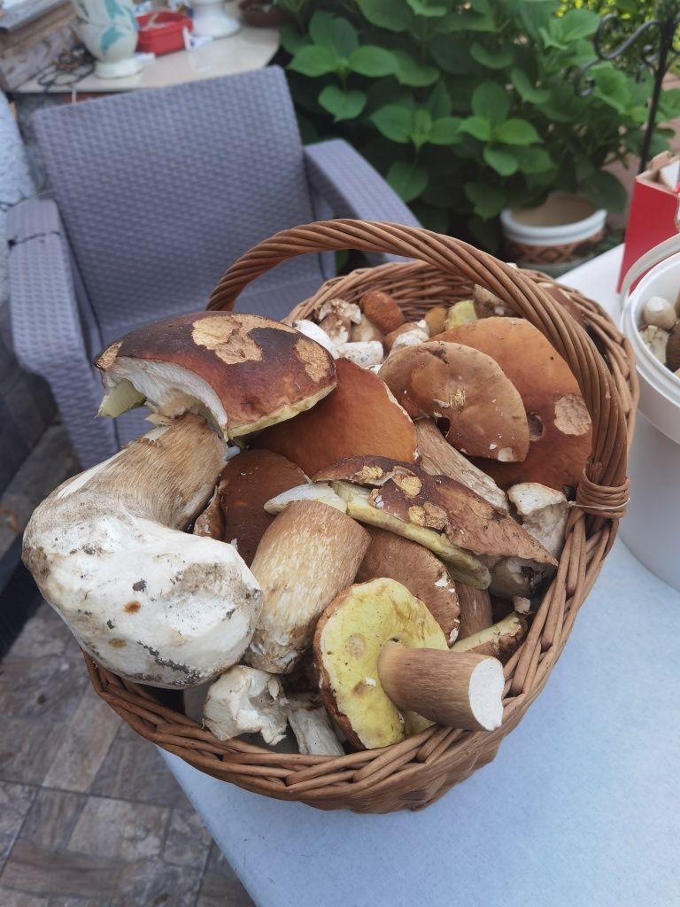 Noclegi Agroturystyka Miejsce z klimatem