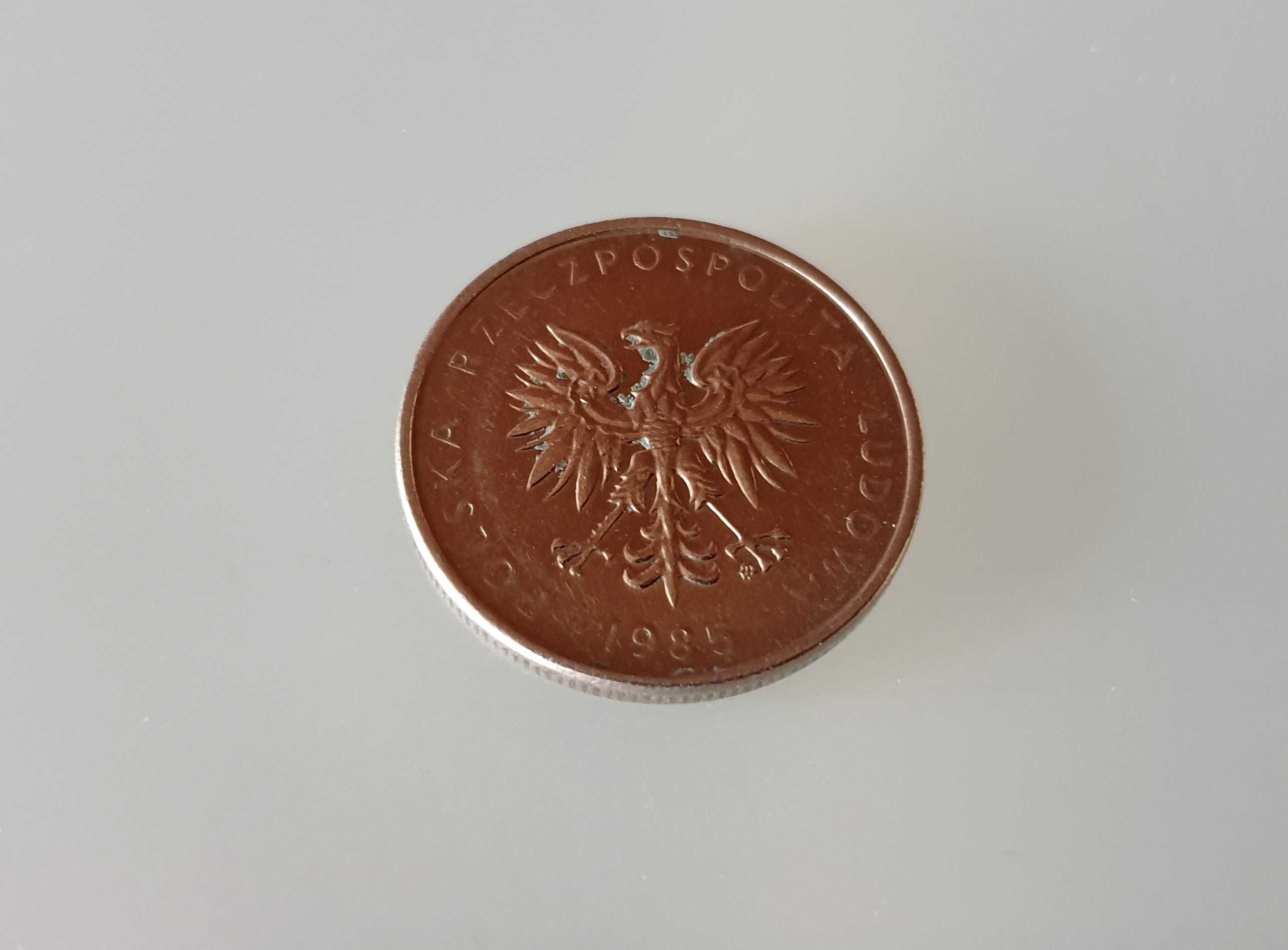 Moneta PRL 10 złotych - 1985 rok