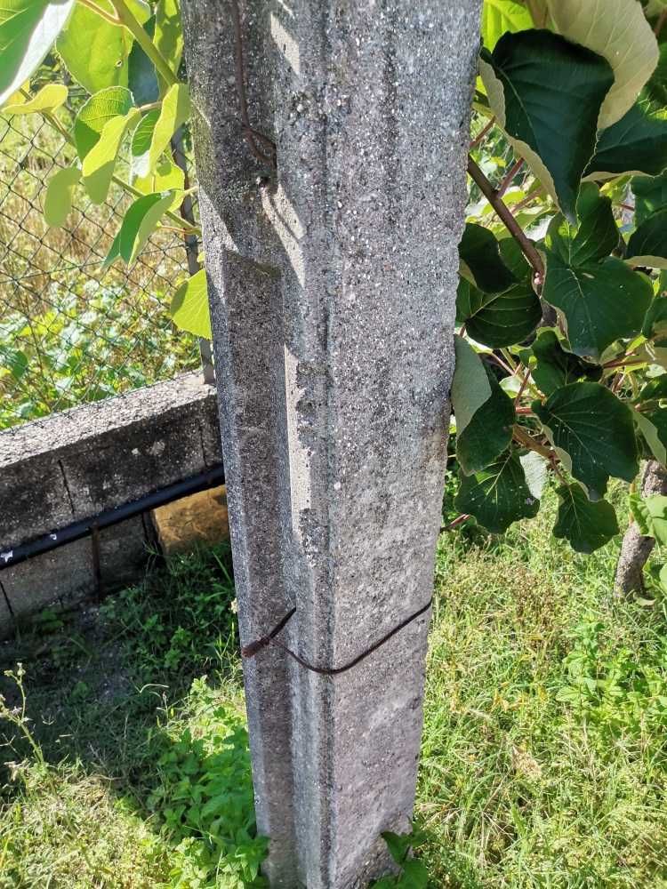Esteios/postes em cimento para vinha ou vedação