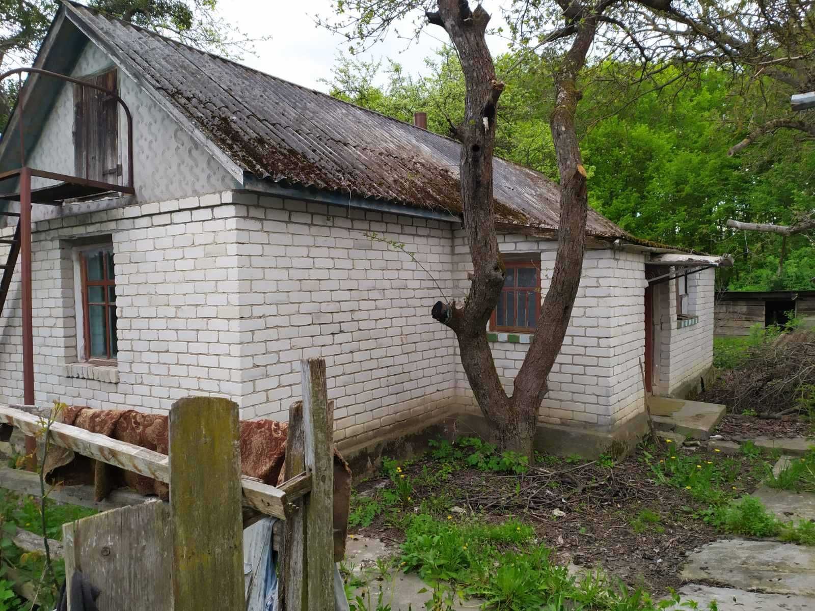 Будинок в мальовничому селі біля Хмельницького