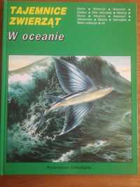 Seria Tajemnice zwierząt - W oceanie