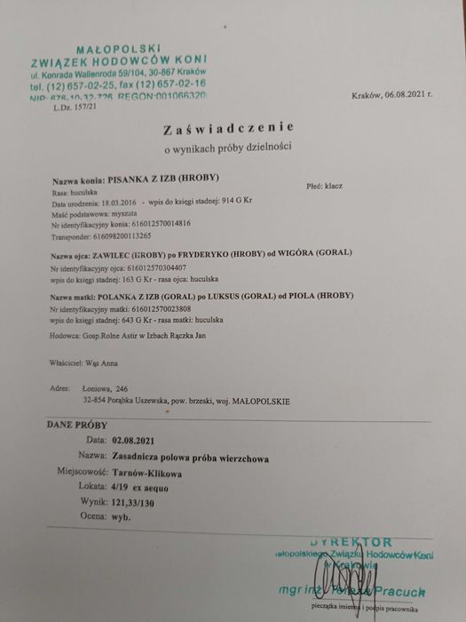 Klacz huculska dotacyjna klacze ogiery