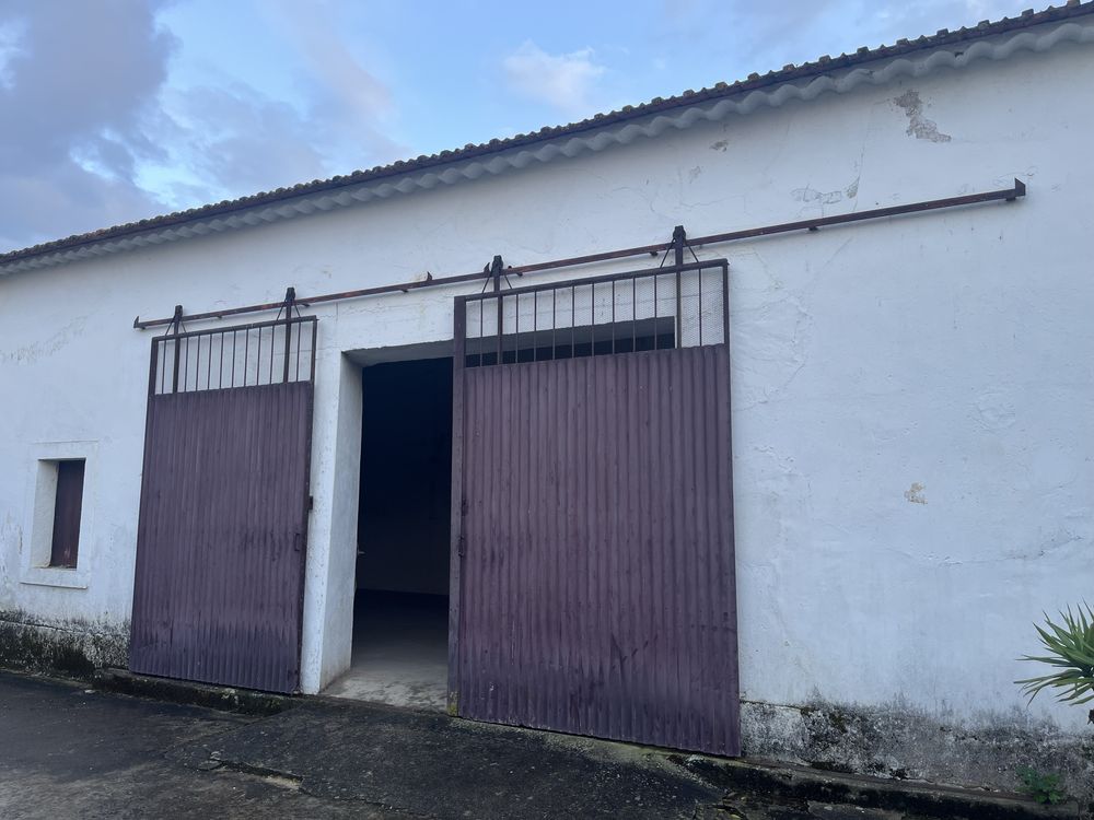 Portão grande de ferro