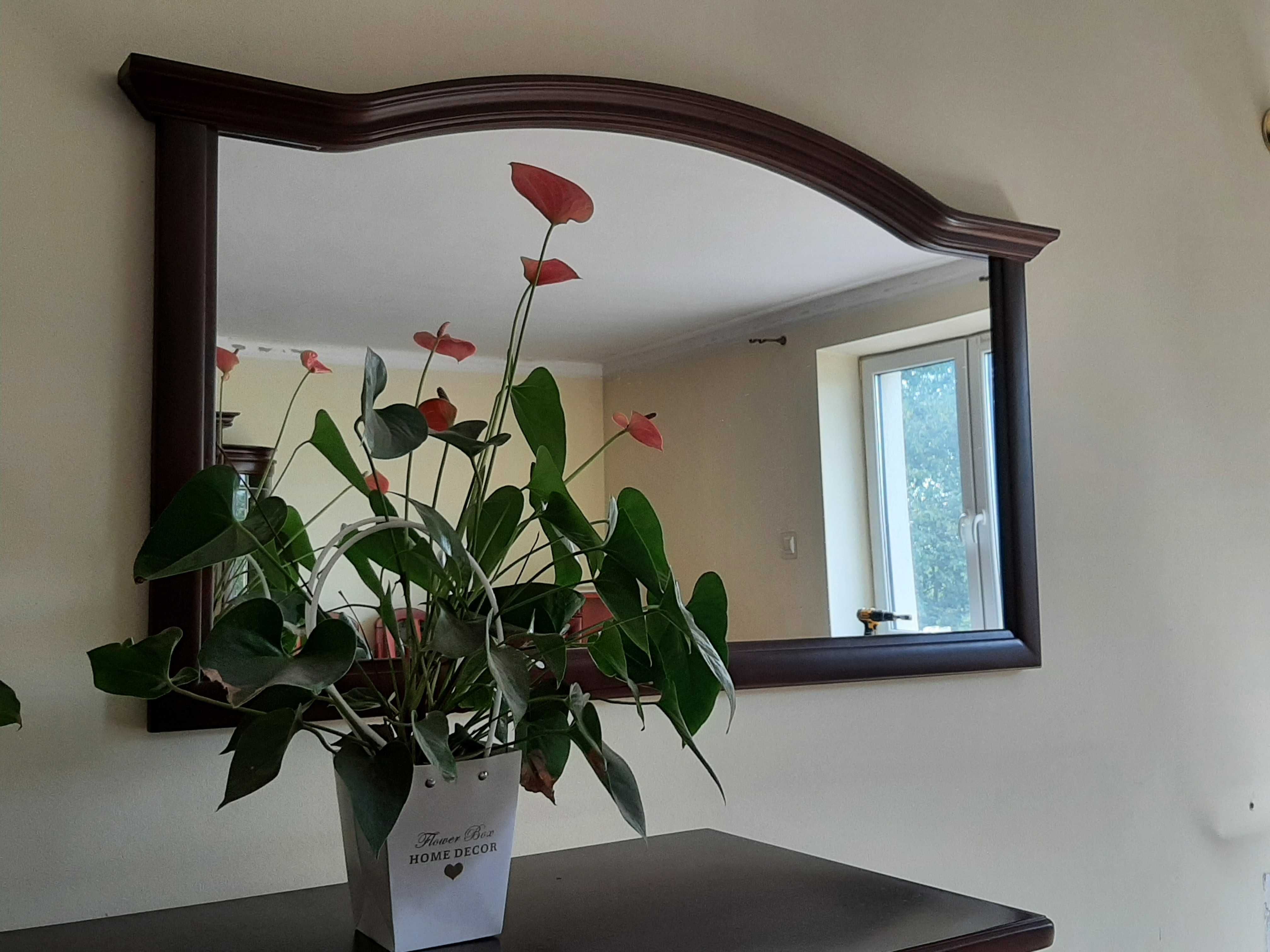 Meble z kolekcji Klaudia do salonu