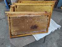 Рамкы, пчелиный сушь для пчёл 230мм.