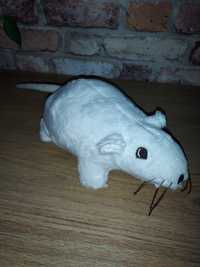 Gosig Rata bialy unikatowy szczur, mysz maskotka pluszak jak Ikea