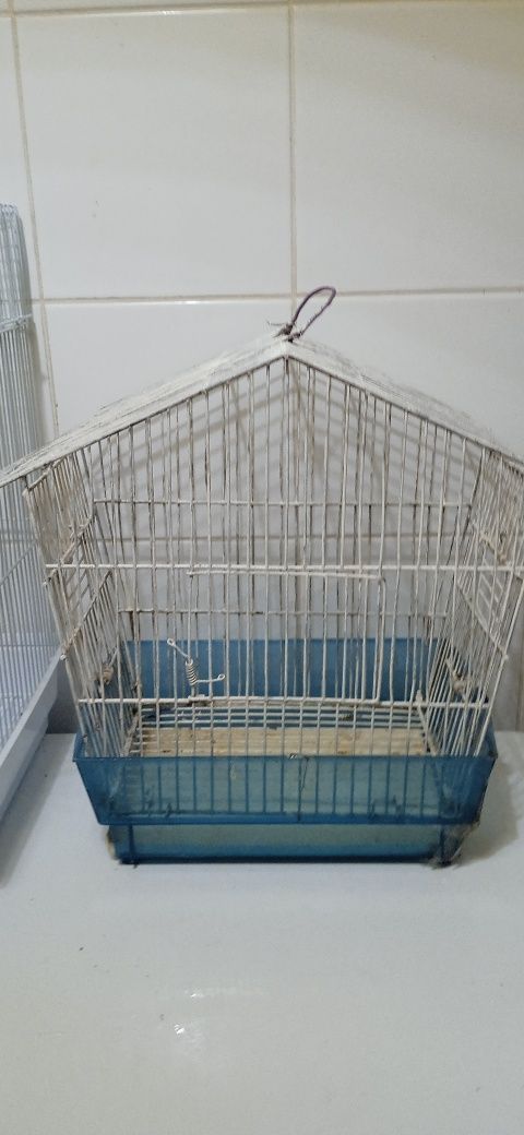 Gaiolas e ninhos